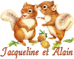 squirrel-20117